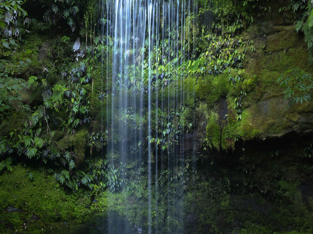 The Catlins: Waterfalls