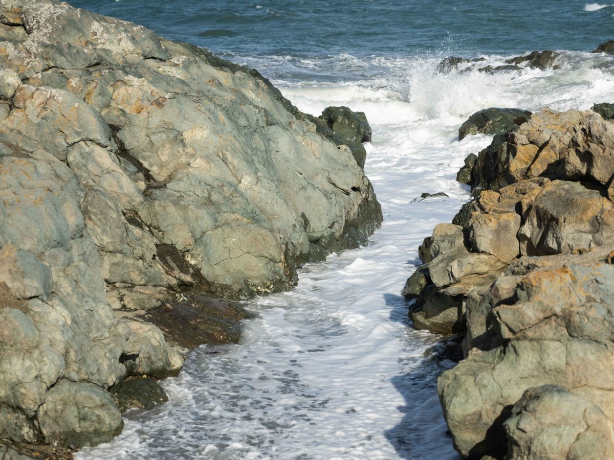 The South Coast –&nbsp;West